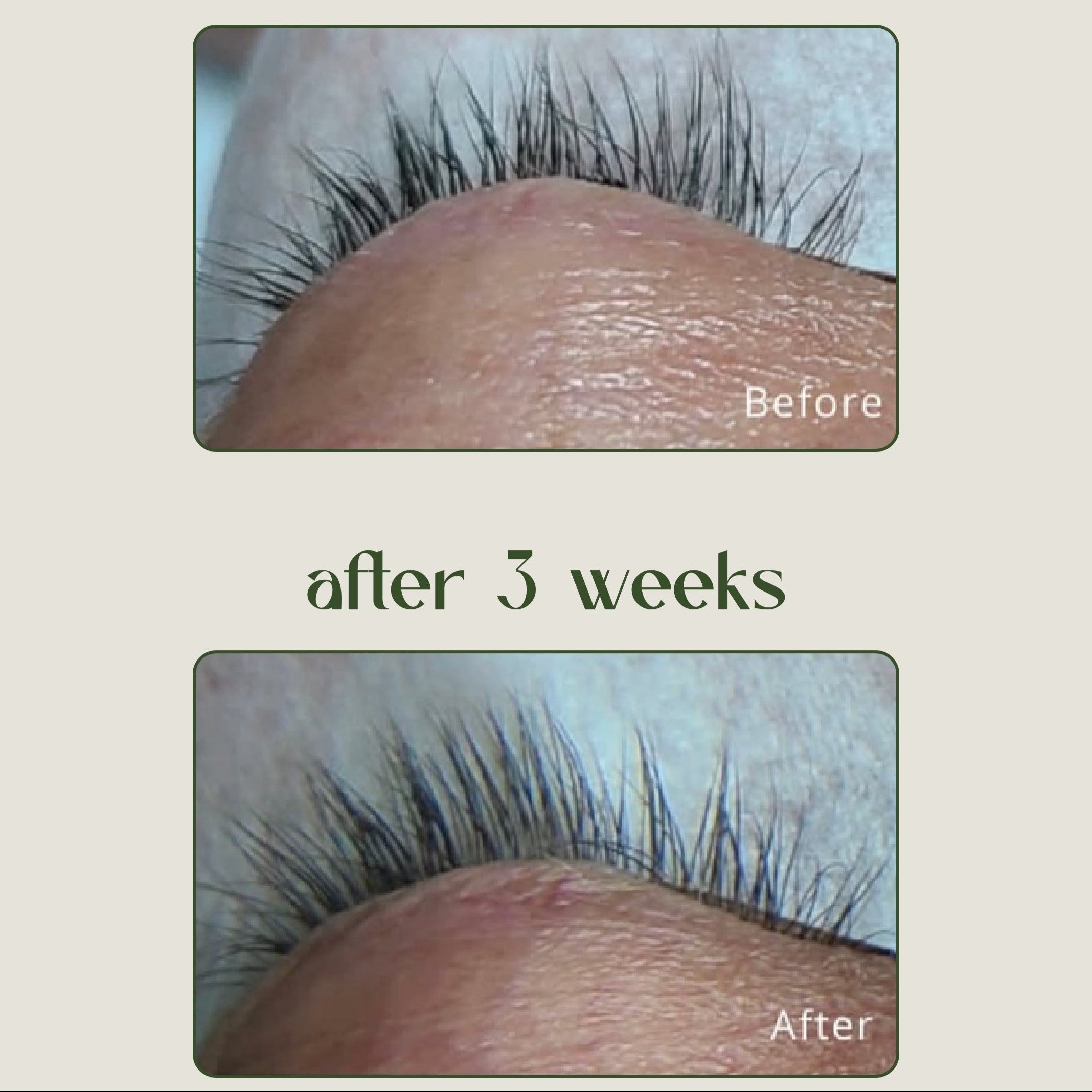 Gift of Lashes Set