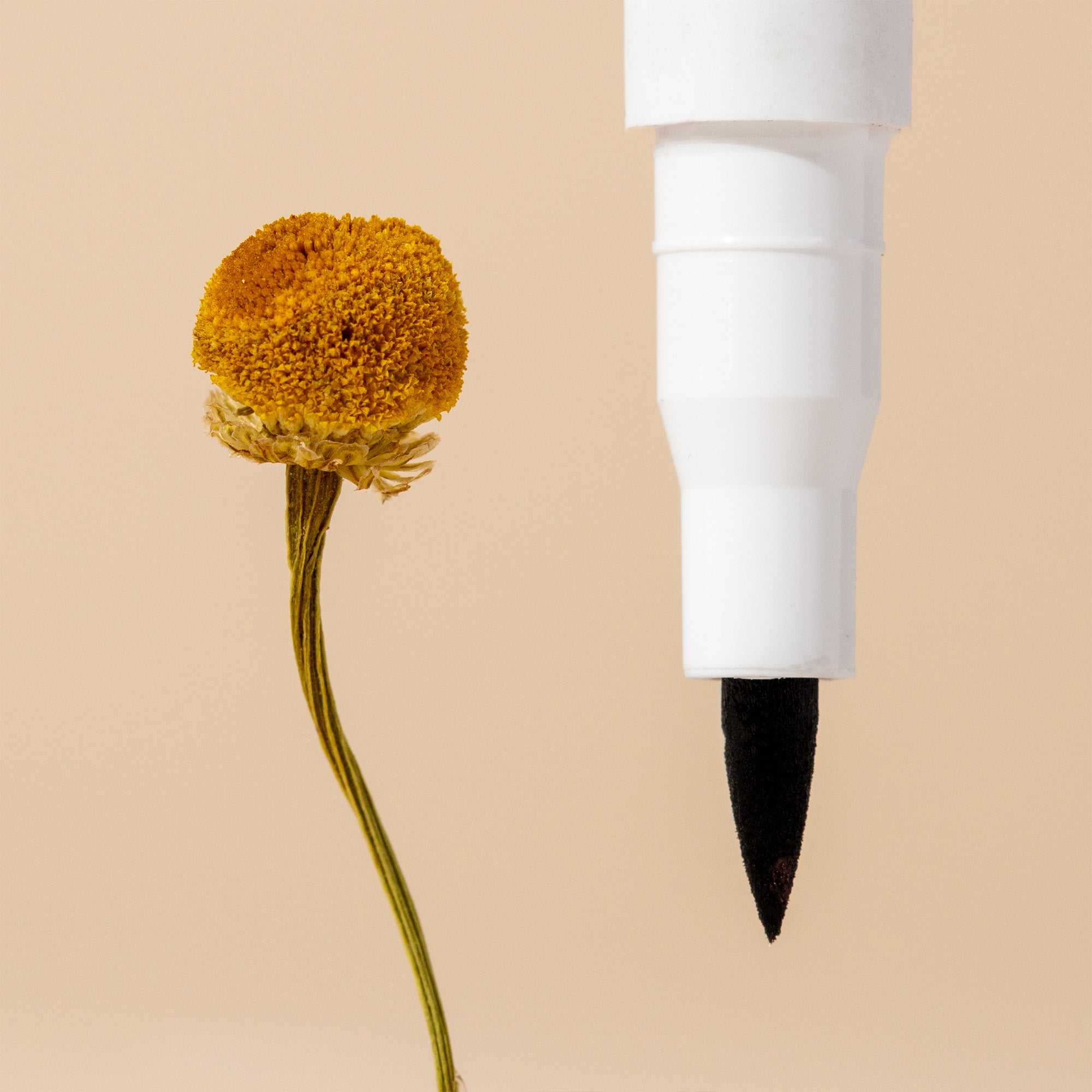 Chamomile Makeup Eraser Pen