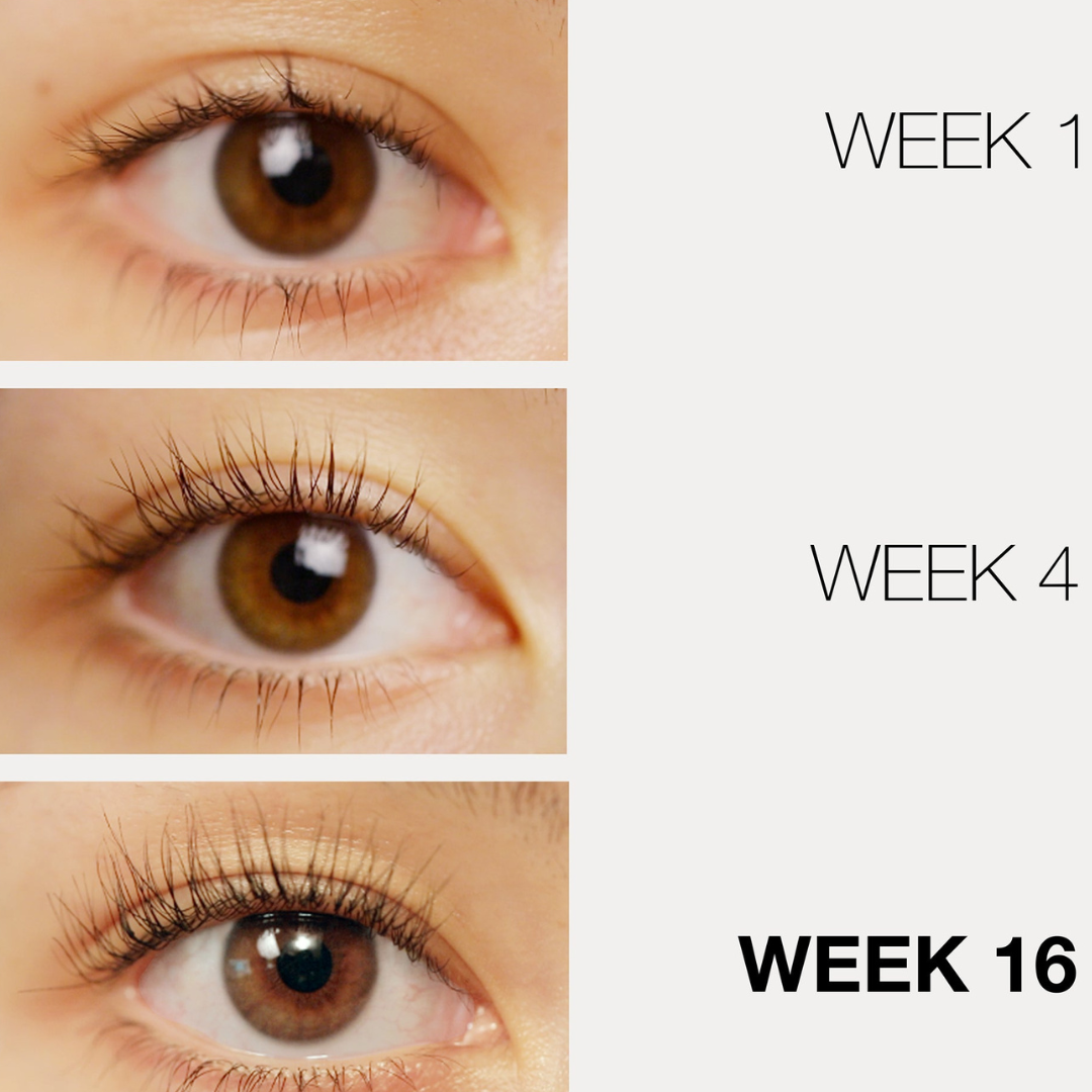 LASH + BROW Rx Kit